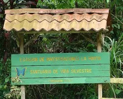El entorno