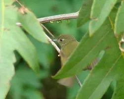 Dos dudas