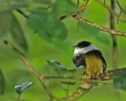 Deseos de vivir
