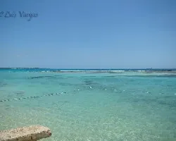 De cerca