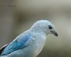 Desde mi comedero