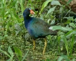Otra morada