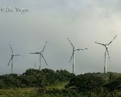 Si las viera Don Quijote