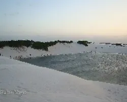 Dunas6