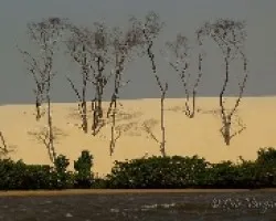 Rio Pregui?Ã‚Â§as
