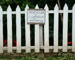 Mensaje subliminal