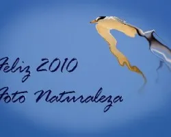 Feliz 2010