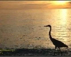 atardecer