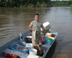 pesca de bobo