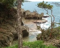 Uvita