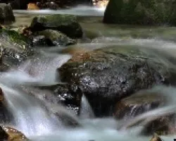 riachuelo que da vida