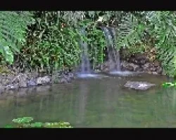 frescura verde