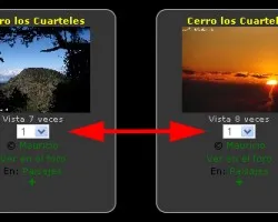 Votar