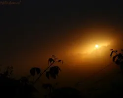 Un nuevo atardecer
