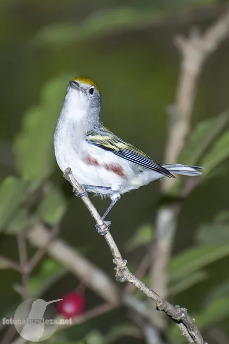 Universidad de Costa Rica