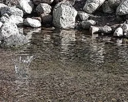 Salpicadura de agua en r?o