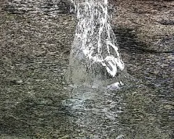 Salpicadura de agua en r?o-2