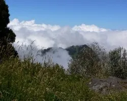Pastizal del cielo
