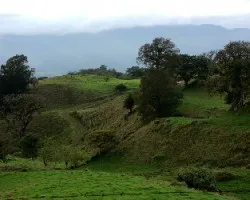 Caminito entre potreros