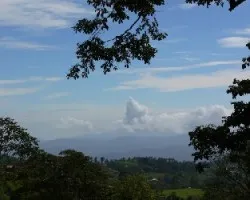 Paisaje campestre