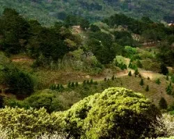 Paisaje de Aserr?
