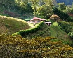 Casita en el campo