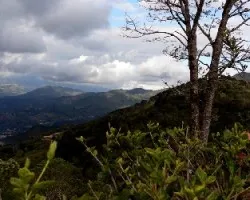 Viene la lluvia