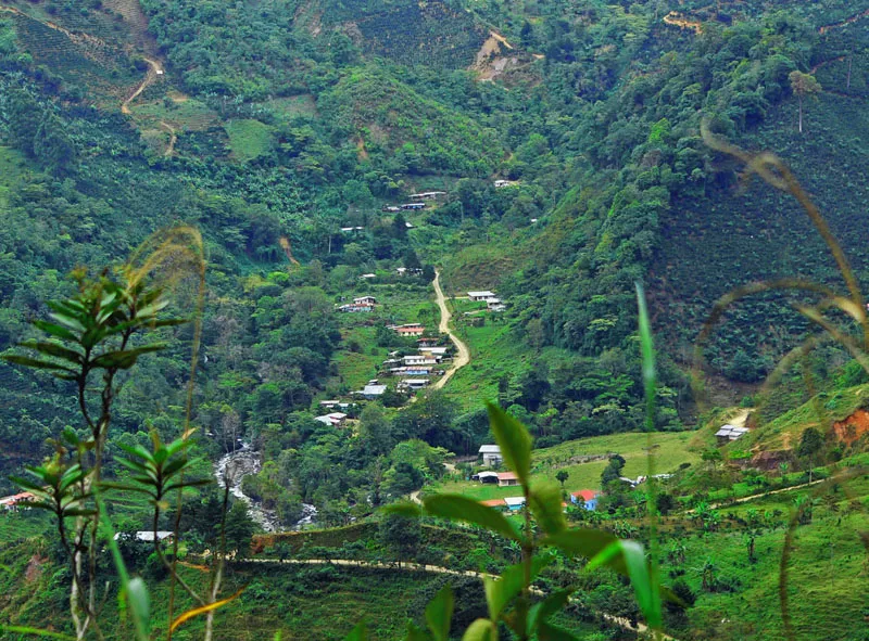 Foto