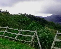 Se cae la cerca