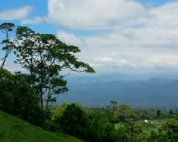 Nubes de algodón