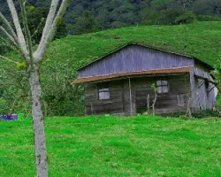 Casa rumbo a Turrialba