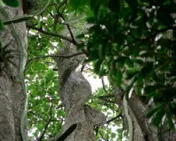 Escalera de caracol de cerquita
