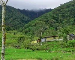 Paisaje campestre con catarrata al fondo