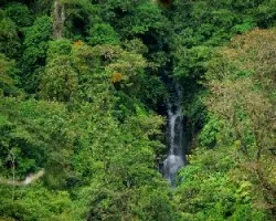 Catarrata casi escondida