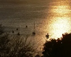 Oro en las aguas