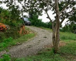 Camino cerca de Playa Dominical