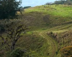 Camino olvidado