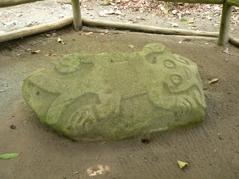 Foto