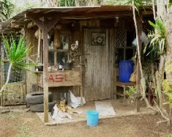 La bodega