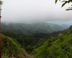 Se acerca la neblina