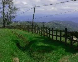 Cerca en un paisaje de Turrialba