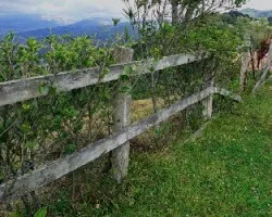 Cerca en un paisaje de Aserri