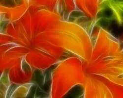 Fractal de lirio naranja - 