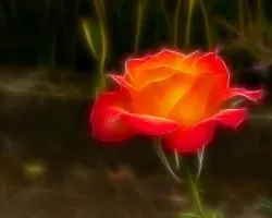 Fractal de rosa