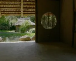 Mirando hacia afuera