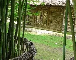Costado de la casa