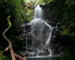 Catarata