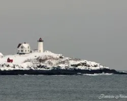 Faro