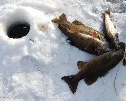 Pescando en hielo