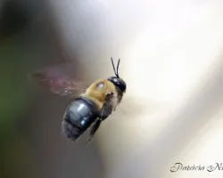 En pleno vuelo